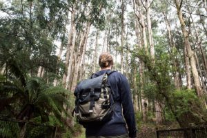 Artists wanted to create work for installation at Kalorama Park