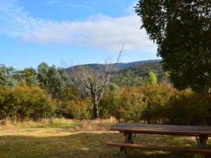 Experience deep listening in the hills
