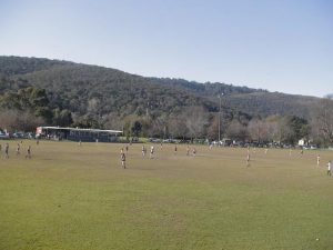 There’s still time to have your say on Kings Park