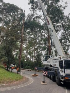 Olinda-Monbulk Road closures due to tree removal