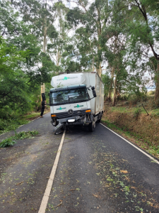 SES called to Strawberry Corner incidents