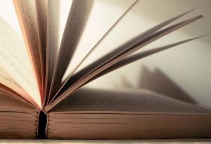 BOOK REVIEW: Crime novel is a fast-paced experience for primary school kids