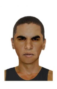 Police investigating assault at Ferntree Gully bus stop