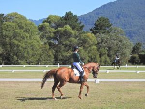 Horse Talk: Upcoming events throughout the Yarra Ranges and Dandenongs