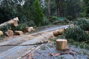 Council seeking response for latest survey on storms and pandemic
