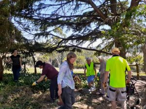 Clean Up Australia Day event in The Basin on Sunday April 30