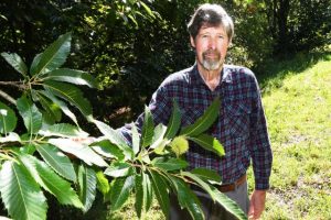 Flying foxes causing concern for local farmers