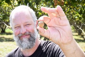 A hazelnut haven in Gembrook