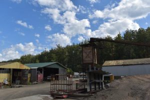 New budget sees timber harvesting to be shut down from 2024