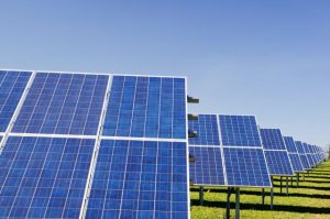 Webinar on combating Climate emergency
