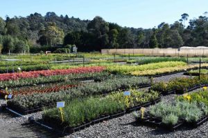 Yarra View offers more than just great savings through Car Park Sale