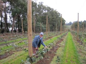 Gordon Chapman AM farewelled