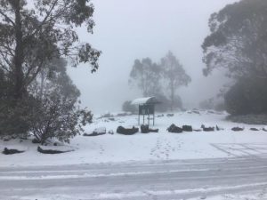 Here is three activities for winter