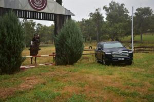 Horse owners urged to get their PIC