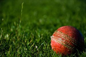 Cricket comp seeks umpires for 2023-24 season