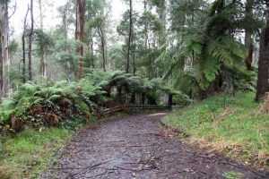 Hills parks remain closed