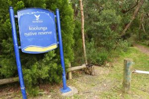Council endorses Koolunga Native Reserve plan