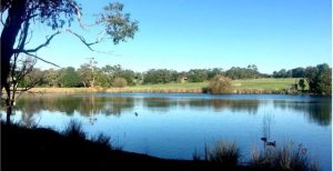 Another push for Lake Knox