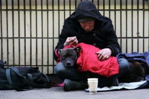 Roofless: Crisis of Home and Hope