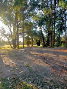 Fighting for a greener Knox
