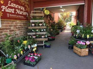 70 Years of Monbulk nursery