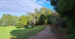 Pepi’s land bike track concept revealed