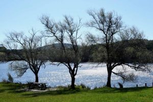 Popular park reopened for Knox