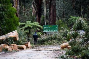 Introducing Storm Talk: Locals invited to share perspectives on disaster communication