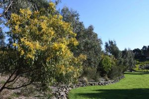 Ferntree Gully welcomes new lookout