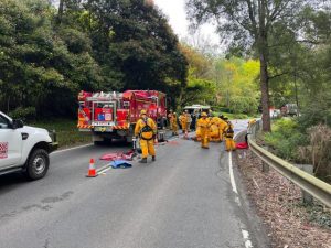 Local woman rescued by CFA