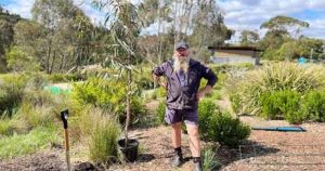 Separation tree sapling planted at Quarry Reserve