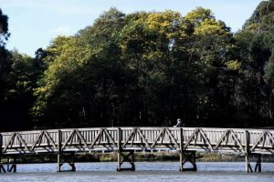 Grant awarded to friends of emerald lake park