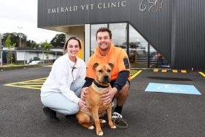Local pup overcomes fatal disease