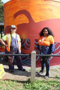 Kalorama pavilion comes to life with water tank art