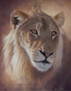 Pastel works on display
