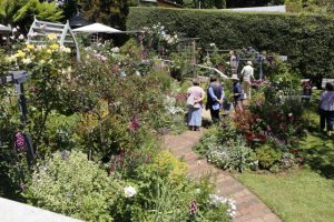 Monbulk’s Nook shared once again
