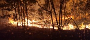 Bushfire risk in Victoria highest in the Yarra Ranges