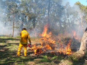 Final call to clear property as Fire Danger Period approaches
