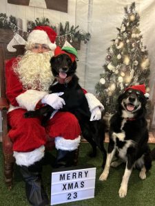 Say ’Woof’ with Santa and give locally