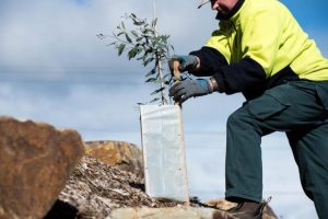 Updated nature plan approved by councillors