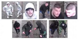Alleged suspicious behaviour in Kalorama