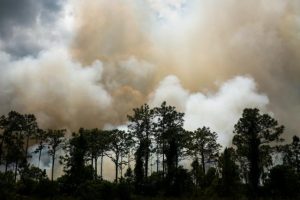The Fire Danger Period has arrived