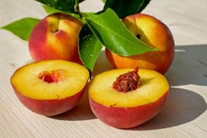 Peaches in literature