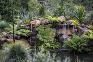 Year in review: Internationally acclaimed garden opens in Olinda