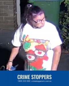 Police investigating Baywater North theft