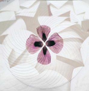 ‘An Unconscious Voice’ launches at Burrinja