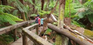 Snippets: Trail rides and AGMs in the Hills