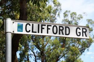 Unanimous support for Clifford congestion issues