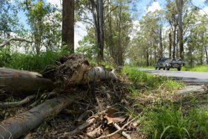 Emerald residents in limbo with no internet and landline
