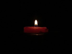 Bark drop cuts power to 18,000 homes across Yarra Ranges